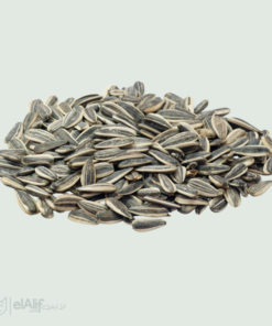 Tournesol pour Perroquets et Rongeurs elAlif