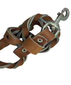 Laisse pour chien elAlif