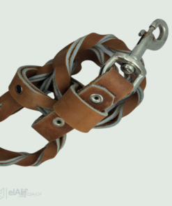 Laisse pour chien elAlif