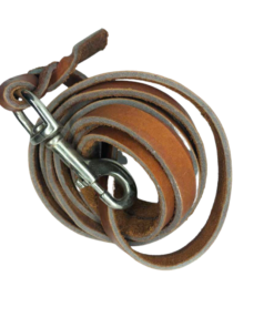 Laisse de dressage 2m elAlif