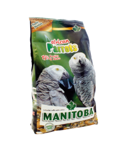 Manitoba Perroquet Africain elAlif