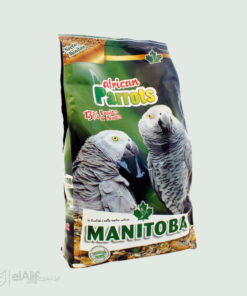 Manitoba Perroquet Africain elAlif