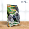 Manitoba Perroquet Africain elAlif