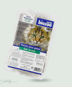 Herbe à chat Biozoo elAlif