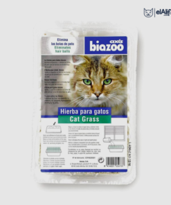 Herbe à chat Biozoo elAlif
