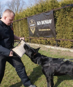Dingo Gear Professionnel Coussin de Morsure renforcé Fait Main avec 3 poignées pour entraînement de Morsure de Chien #S00521 elAlif
