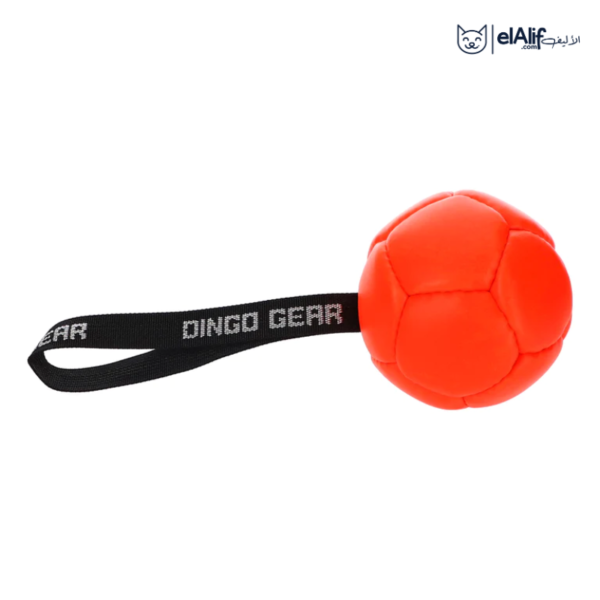 Balle en cuir artificiel pour le dressage Dingo s002699 elAlif