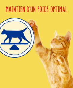 Friskies Stérilisé Boeuf Poulet 2Kg elAlif