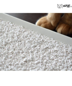 Litière Felin agglomérante elAlif animalerie algérie