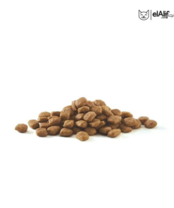 Purina One stérilisé 7.5 Kg Poulet elAlif animalerie algérie