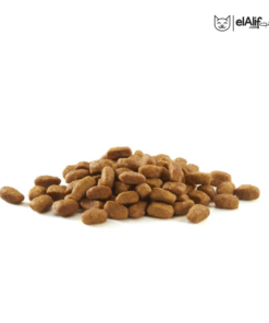 Purina One stérilisé 7.5 Kg Bœuf elAlif animalerie algérie