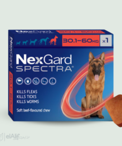 Nexgard 30 Kg - 60 Kg elAlif animalerie algérie
