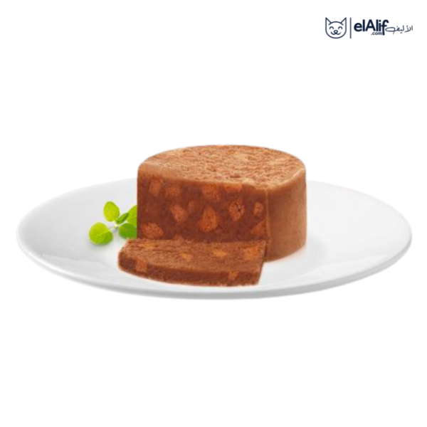 Gourmet Terrine 12×85g elAlif